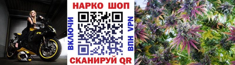 Псилоцибиновые грибы Кимовск